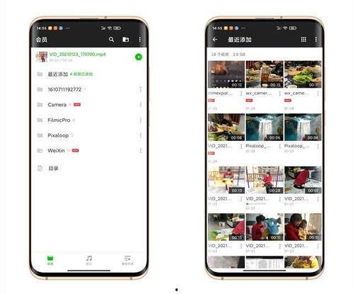 手机视频加密软件,安全守护，隐私无忧