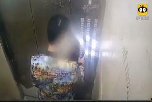 男把内裤给脱了视频,内裤脱落视频引发热议