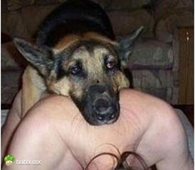 欧美跟狗畜交视频视频,揭秘令人毛骨悚然的狗畜交视频真相